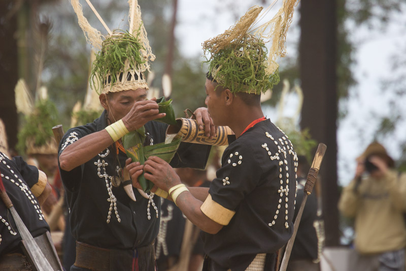 Hornbill Festival