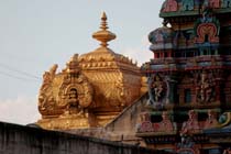 IMG_1104_Madurai15_Tempel_tn