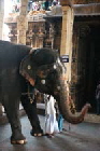 IMG_1113_Madurai24_Tempel_tn