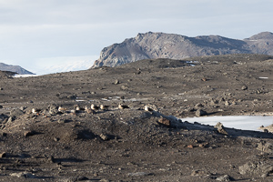 Cape Evans