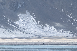 Franklin Island