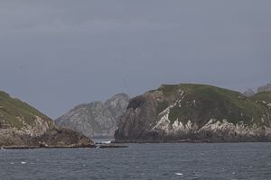 Snares Island