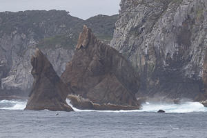 Snares Island