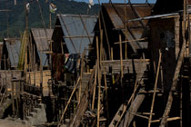 TNarun_IMG_4495